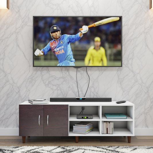 TV Unit | 2 Door, Open Shelves | Dual Color TV & Entertainment Unit VIKI FURNITURE